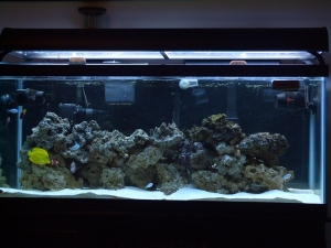 Finally,...new lights!!!
