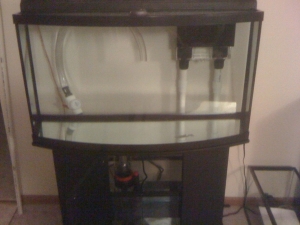 Just starting out.  Empty tank :(