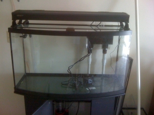 My new Coralife Lunar Aqualight!!!