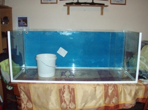 620litre build 001