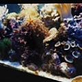 My Old 30 Long