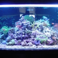 72 gal