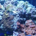 720 gal