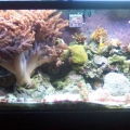 Bad Shot Of Tank lol