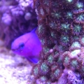 Gramma's favorite corner