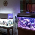 New tank
