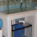 tank_1_
