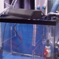 Sump2_1_