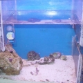 done_sump_1_