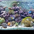 75G before the Move and Crash