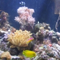 leftside2142005jpg