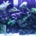 72 gal under atinic