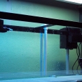 My brothers fish tank