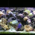 180 REEF