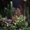 freshwater tank
