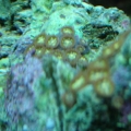 DSCF0258200