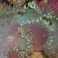 Picture_012