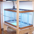 Refugium , 15 gal. tank