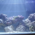 Rocks_MH_1_