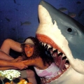 just sharking around...