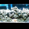 Whole Tank Shot