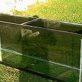 150_gallon_tank