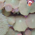 top view