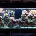 360 degree 125 gal
