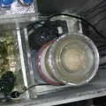 Korrall sump 38  gal