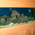 Tank current