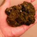 Hand_poop