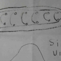 Slug_Drawing