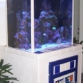115 Gallon Reef