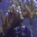 DSC00463