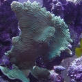 DSC00465