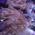 DSC00468