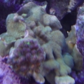 DSC00470