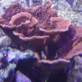 DSC00471