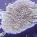 DSC00472