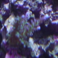 DSC00475