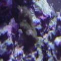 DSC00476