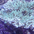 DSC00480