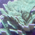 DSC00481