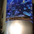 45 G half barrel tank with custom stand