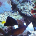 Feeding time