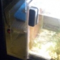 new sump