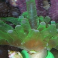 5a8130d7_1_