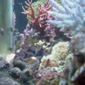 Side view of Tank