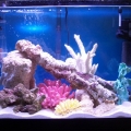 Tank @ Three Weeks!