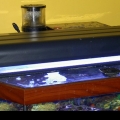 Nova Extreme 96W (4x24W) T5-HO fluorescent